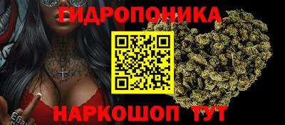 молекула духа Краснознаменск