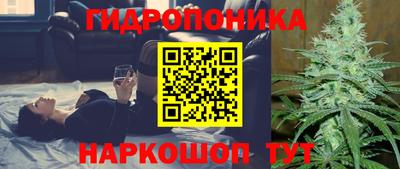 молекула духа Краснознаменск