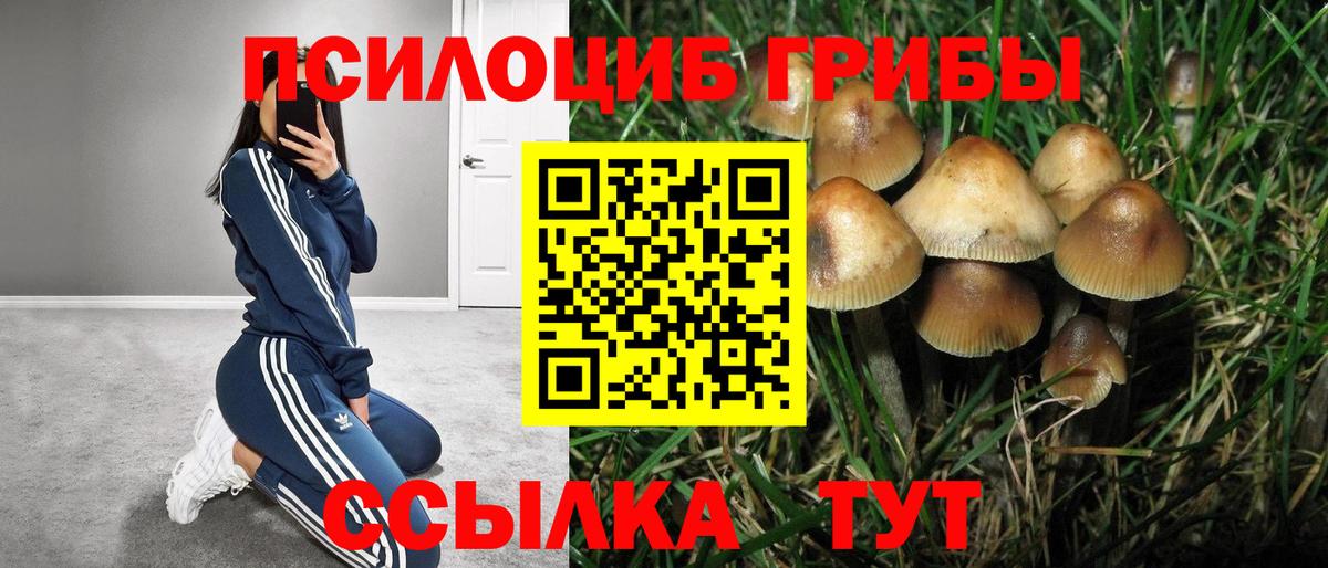 Галлюциногенные грибы Magic Shrooms Еманжелинск